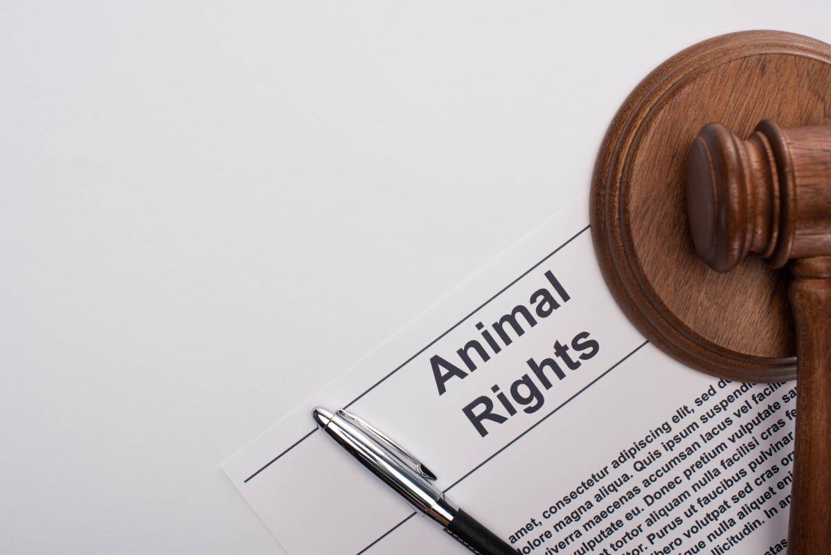 Petition starten im Bodenseekreis — so wird Ihre Stimme gehö