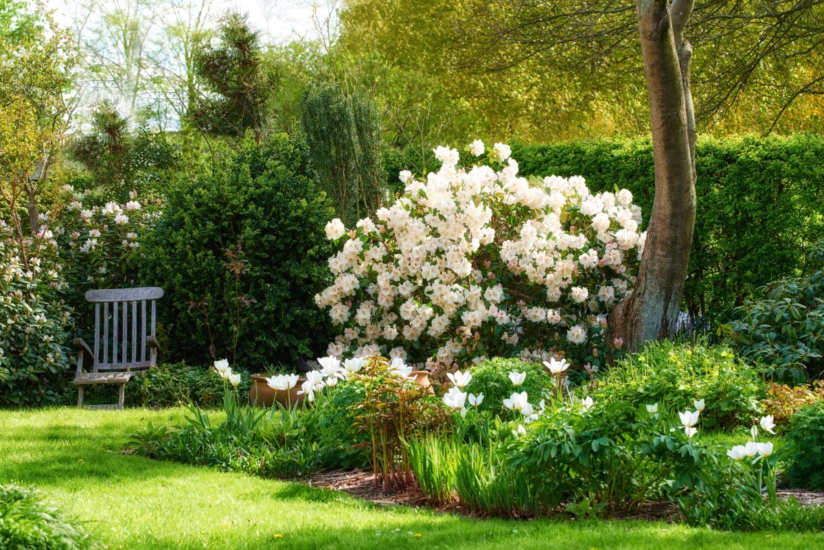 Ruhe im eigenen Garten — Der Rückzugsort im Bodenseekreis
