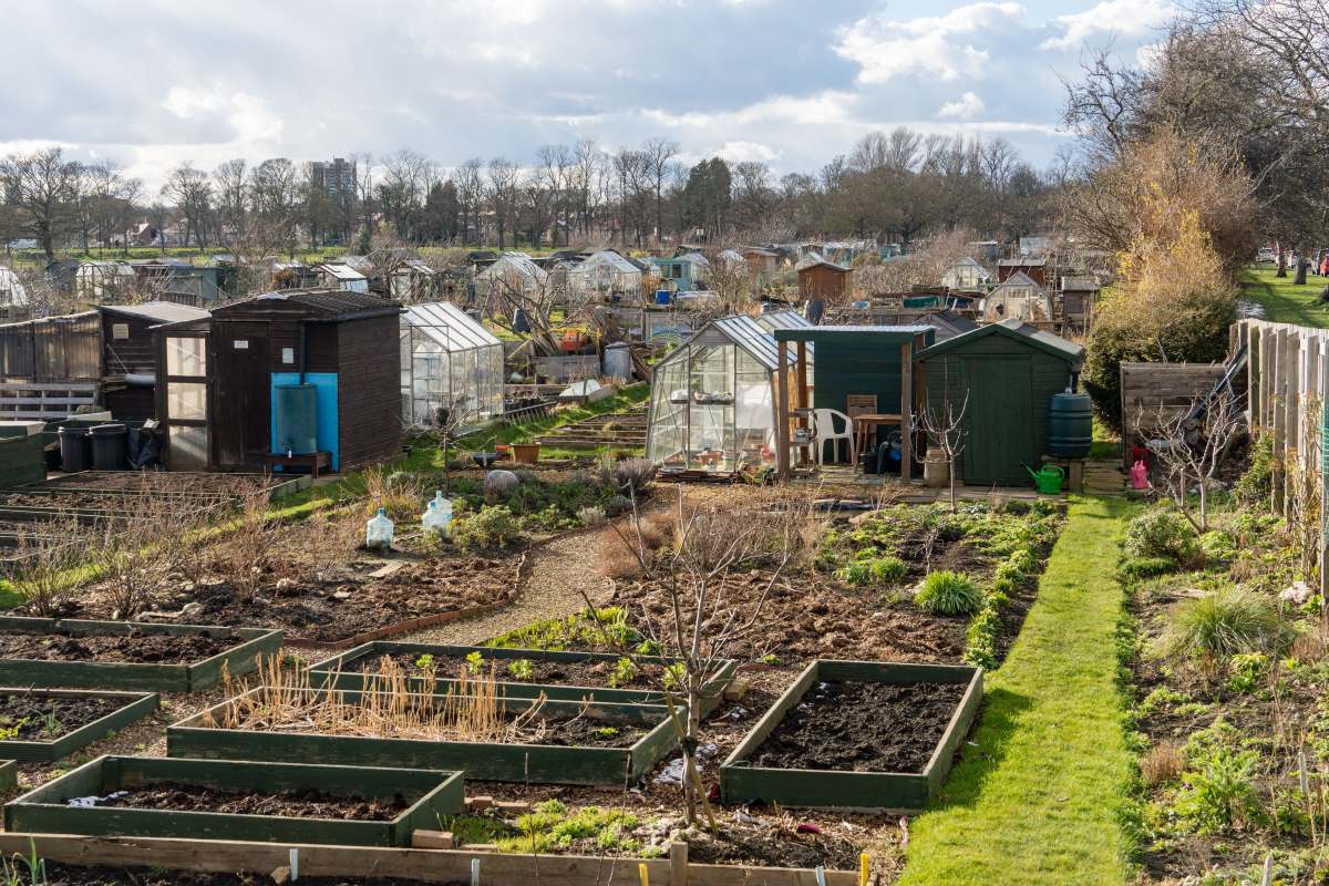 Schrebergarten im Bodenseekreis: Pacht, Regeln und praktisch